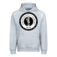 University Albany Suny Urban Hoodie | Teevron