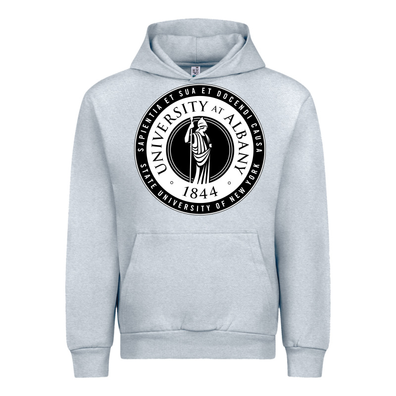 University Albany Suny Urban Hoodie by linhVisuals | Teevron