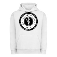 Pigment Lunar Rock University Albany Suny Urban Hoodie - linhVisuals