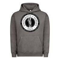 Pigment Tornado University Albany Suny Urban Hoodie - linhVisuals