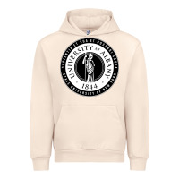 Sandshell University Albany Suny Urban Hoodie - linhVisuals