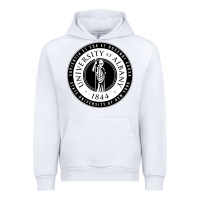 White University Albany Suny Urban Hoodie - linhVisuals