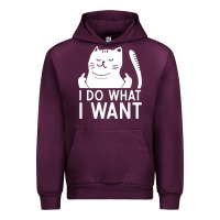 I Do What I Want Cat Giving A Finger Funny Middle Finger Rude Graphic Urban Hoodie | Teevron