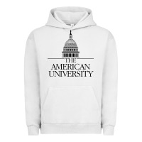 Pigment Lunar Rock american university Urban Hoodie - linhVisuals