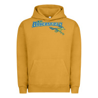 Cal State Bakersfield Roadrunners Urban Hoodie | Teevron