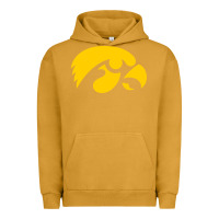 University Of Iowa Athletics Teams Gear Urban Hoodie | Teevron