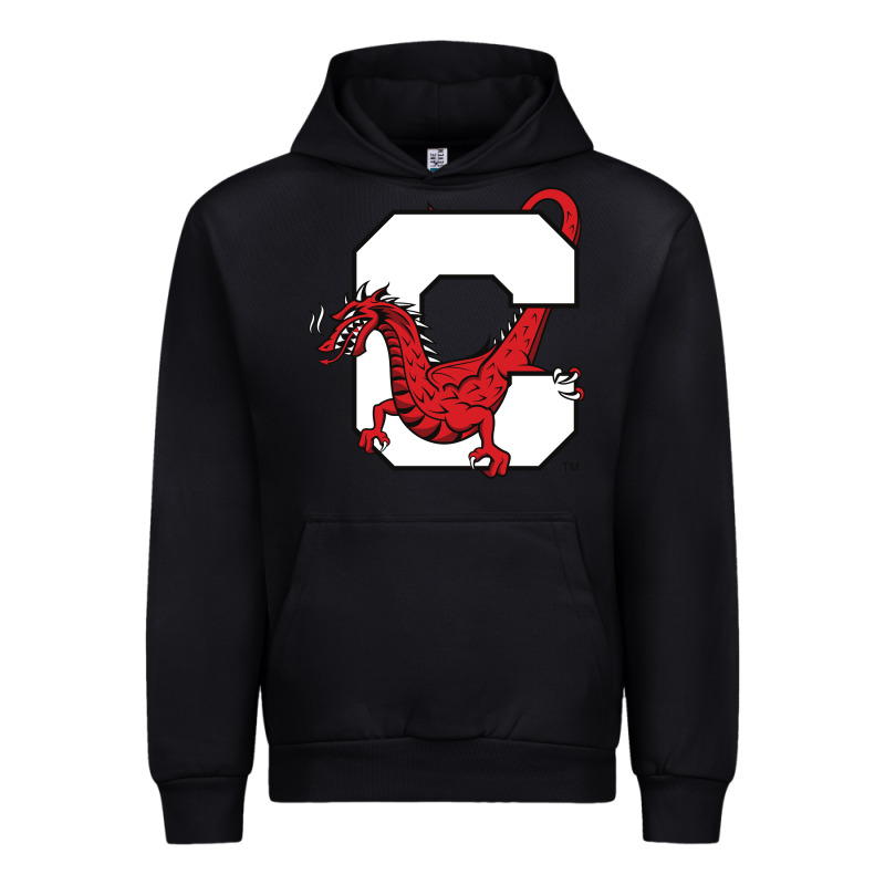 Suny Cortland Red Dragons Urban Hoodie by linhVisuals | Teevron