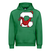 Emerald suny cortland red dragons Urban Hoodie - linhVisuals