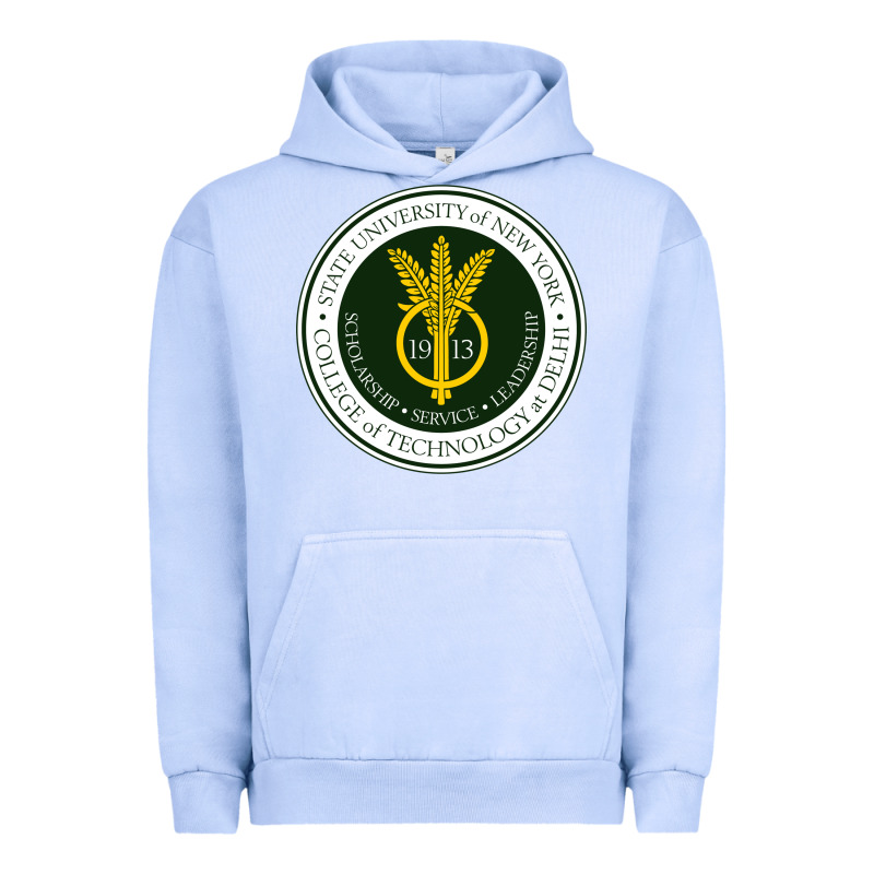 Suny Delhi Urban Hoodie by linhVisuals | Teevron