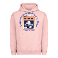 Pigment Salmon Upr At Carolina Urban Hoodie - linhVisuals