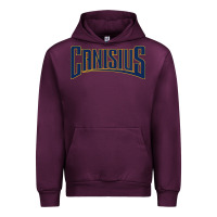 Mauve Wine Canisius Athletics Wordmark Urban Hoodie - linhVisuals