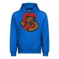 Cobalt Cornell Big Red Urban Hoodie - linhVisuals