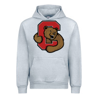 Heather Grey Cornell Big Red Urban Hoodie - linhVisuals