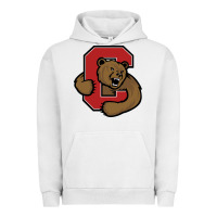 Pigment Lunar Rock Cornell Big Red Urban Hoodie - linhVisuals