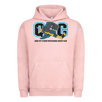 Quad City Storm Urban Hoodie | Teevron