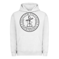 Pigment Lunar Rock dickinson, college Urban Hoodie - linhVisuals