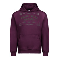 Mauve Wine practical magic tribute to book and film   practical magic Urban Hoodie - linhVisuals