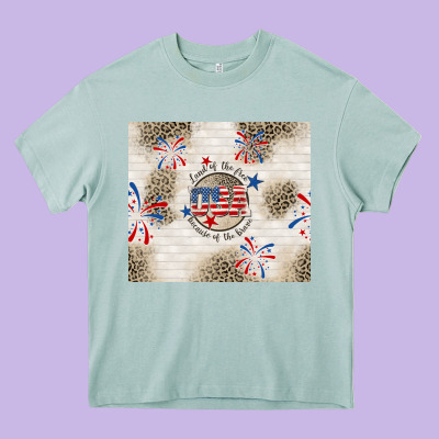 Usa Land Of The Free Because Of The Brave Heavy Core Tee Designed By Tumblerdesignbyshophia