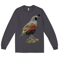 Smoke California Quail Bird Long Sleeve Tee - RanaPortraitStore
