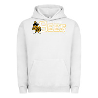 Pigment Lunar Rock salt lake city bees Urban Hoodie - linhVisuals