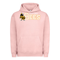 Pigment Salmon salt lake city bees Urban Hoodie - linhVisuals