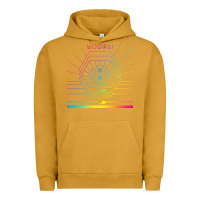 Mṏgwäï Müṡïc Cṏǹcert Urban Hoodie | Teevron