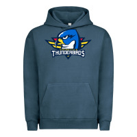 The Thunderbirds Springfield Urban Hoodie | Teevron