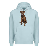 Blue Mist plott hound Premium Hoodie - LillyAllenDesigns