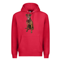 Cardinal plott hound Premium Hoodie - LillyAllenDesigns