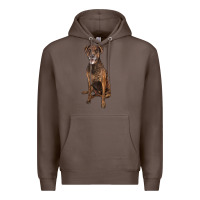 Coffee plott hound Premium Hoodie - LillyAllenDesigns