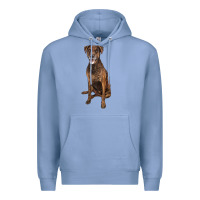 Colony Blue plott hound Premium Hoodie - LillyAllenDesigns
