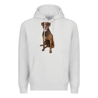 Dove Grey plott hound Premium Hoodie - LillyAllenDesigns