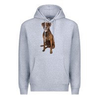 Heather Grey plott hound Premium Hoodie - LillyAllenDesigns
