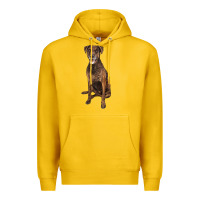 Lemon plott hound Premium Hoodie - LillyAllenDesigns