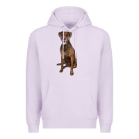 Lilac plott hound Premium Hoodie - LillyAllenDesigns