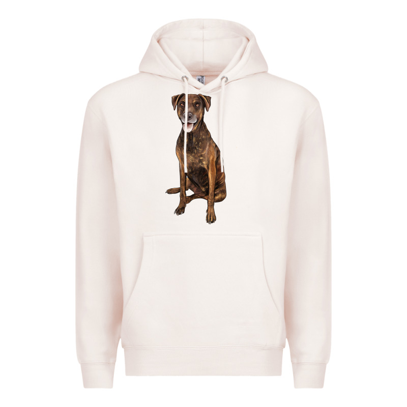 Plott Hound Premium Hoodie by LillyAllenDesigns | Teevron