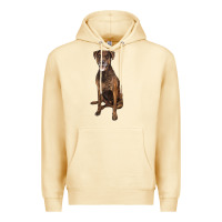 Pina Colada plott hound Premium Hoodie - LillyAllenDesigns