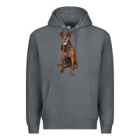 Rock plott hound Premium Hoodie - LillyAllenDesigns