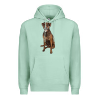Seafoam plott hound Premium Hoodie - LillyAllenDesigns