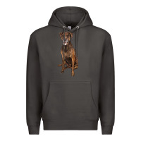 Smoke plott hound Premium Hoodie - LillyAllenDesigns