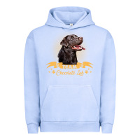 Pigment Grape Ice labrador retriever team chocolate lab funny Urban Hoodie - linhVisuals