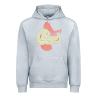 Heather Grey VINTAGE CHICAGO Urban Hoodie - linhVisuals