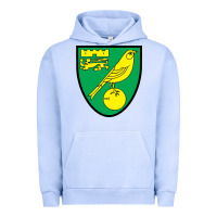 Pigment Grape Ice norwich-fc Urban Hoodie - linhVisuals
