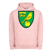 Pigment Salmon norwich-fc Urban Hoodie - linhVisuals