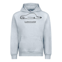Heather Grey Funny Animal Sloth SLOPHISTICATED Urban Hoodie - linhVisuals