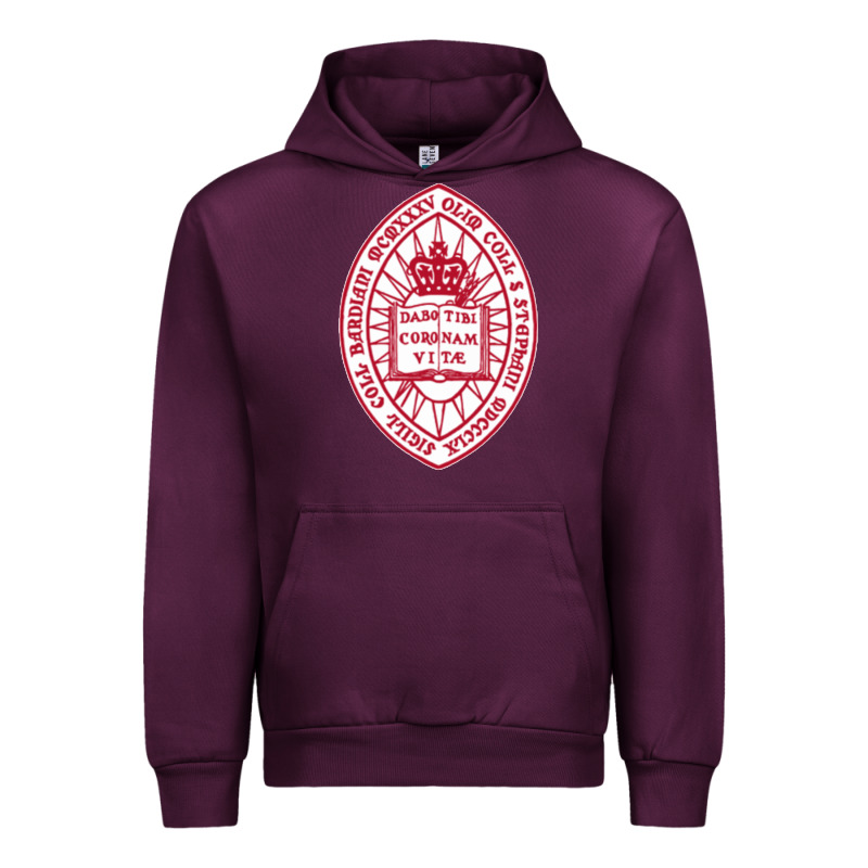 Bard College Urban Hoodie by linhVisuals | Teevron