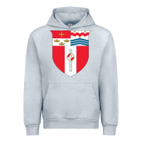 Heather Grey Rensselaer Polytechnic Institute Urban Hoodie - linhVisuals
