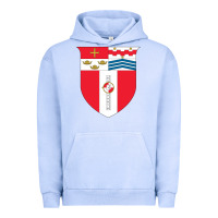 Pigment Grape Ice Rensselaer Polytechnic Institute Urban Hoodie - linhVisuals