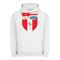 Pigment Lunar Rock Rensselaer Polytechnic Institute Urban Hoodie - linhVisuals