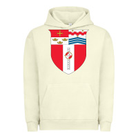Pigment Pistachio Rensselaer Polytechnic Institute Urban Hoodie - linhVisuals